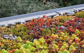 the cost of Lessness Heath green roof installation