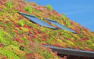 Lessness Heath living roof systems